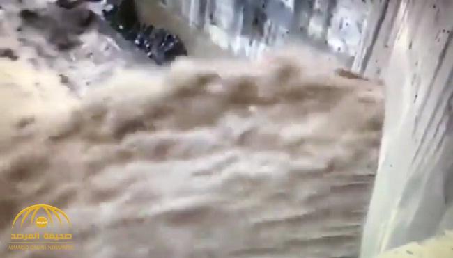 بالفيديو: «البيئة» تكشف حقيقة انهيار سد الليث بسبب الأمطار