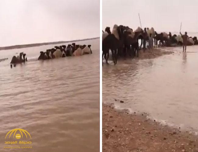 شاهد.. بالفيديو: لحظة إنقاذ إبل كويتي احتجزتها السيول في منطقة الصمان!