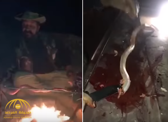 شاهد: سعودي يصطاد ثعبان سام ويسلخه ويشويه ثم يأكله.. ويصور الطريقة فيديو!