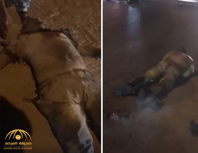 شاهد..بالفيديو : لحظة انفجار محول كهرباء بالكويت يتسبب في وفاة مهندس مصري وإصابة آخر