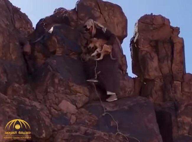 شاهد ... مواطن ينقذ كلبًا عالقًا بين صخرتين في جبال سلمى بحائل
