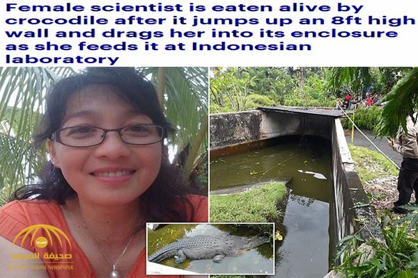 حاولت إطعامه فكانت هي الطعم ..شاهد تمساح ضخم يلتهم امرأة حية في إندونيسيا - فيديو وصور