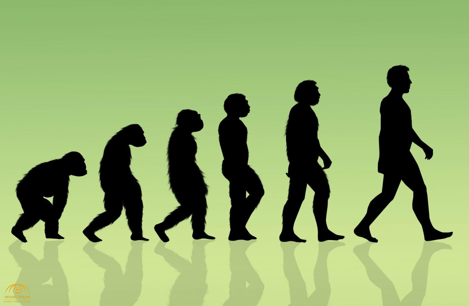 عالم أمريكي ملحد " يشكك"  في حقيقة نظرية التطور البشري ..  ويكشف عن مفاجأة!
