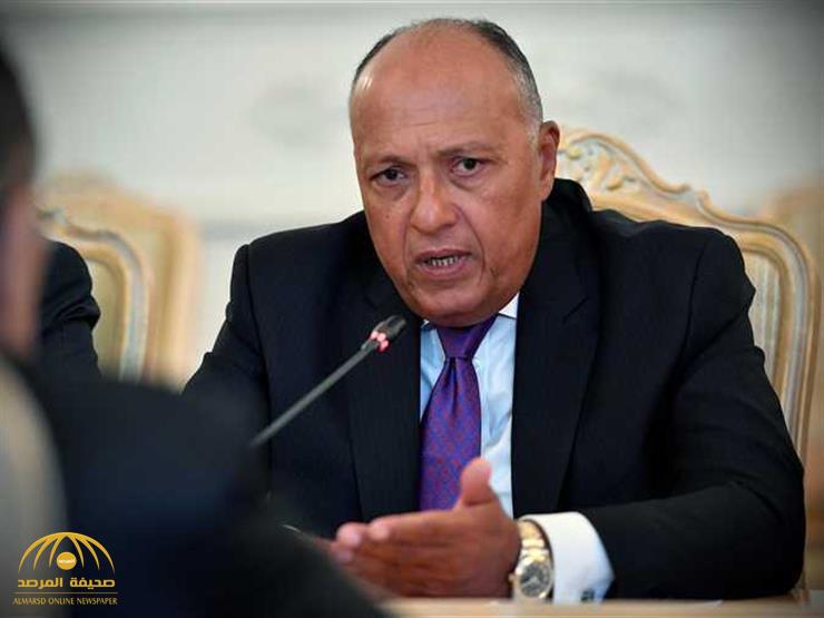 وزير الخارجية المصري يعلن موقف بلاده من عودة العلاقة مع قطر