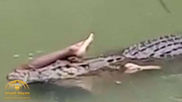 بالفيديو : شاهد .. تمساح يلتهم رجل في  نهر بإندونيسيا