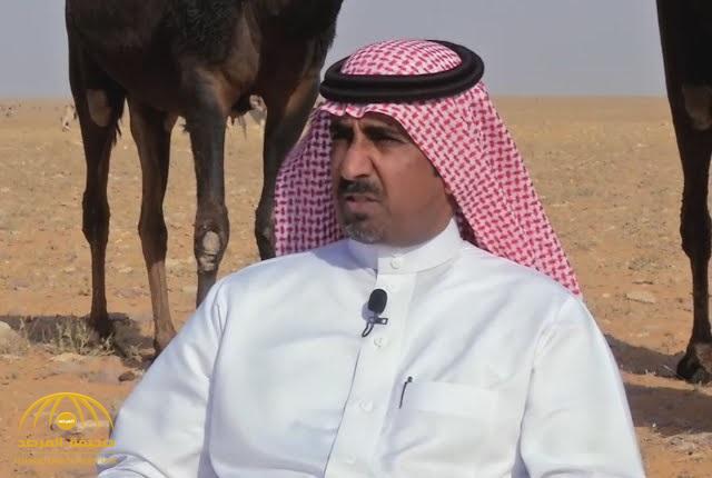 بالفيديو .. أحد أكبر ملاك الإبل في الخليج : " الإبل تسير في المملكة بلا قيود ومستأنسين" .. وهذا ما يحدث للحلال في قطر