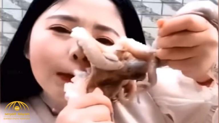 شاهد .. كيف انتقم أخطبوط من وجه صينية حسناء حاولت أكله حيا على الهواء!