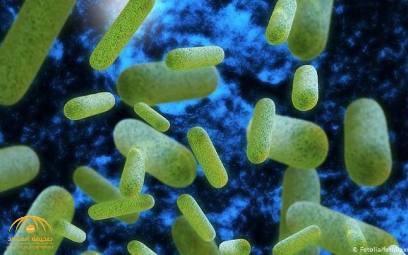 عالم روسي يكتشف بكتيريا تحمل سر الخلود‬