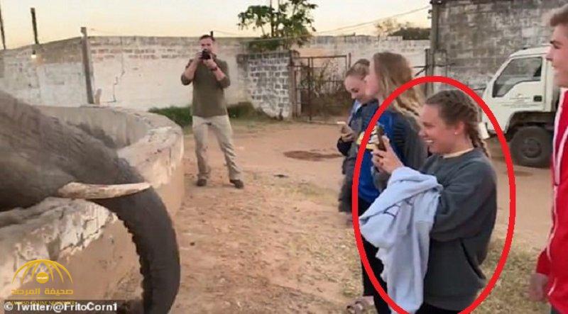 شاهد.. فيل غاضب يصفع فتاة على وجهها بقوة بخرطومه أثناء محاولتها التقاط صورة له!