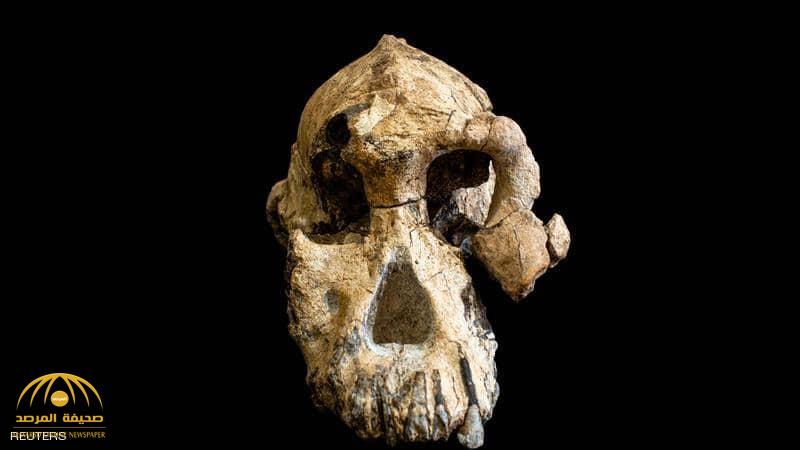 علماء في إثيوبيا يكتشفون جمجمة لأحد أسلاف البشر عاش قبل أكثر من 3 مليون عاما!