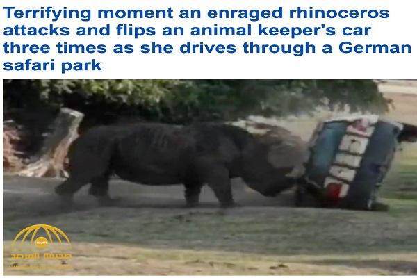 شاهد.. "وحيد قرن" غاضب يدحرج سيارة أمامه مثل الكرة في حديقة بألمانيا