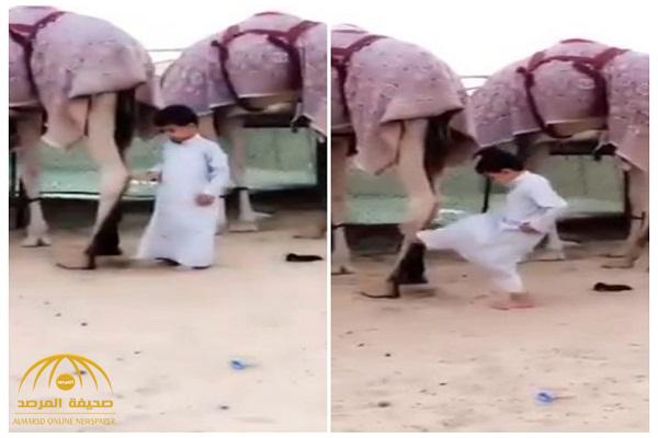 بالفيديو: طفل يقترب من "ناقة" ويحاول استفزازها من الخلف.. شاهد: ردة فعلها العنيف !