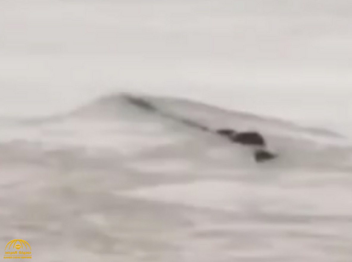 شاهد بالفيديو ..."وحش مائي" ضخم  يشبه الثعبان يظهر في نهر بالصين !