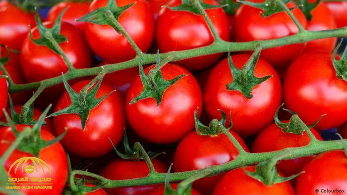 كيف تحسن "الطماطم" أثناء  تناولها بشكل يومي الخصوبة عند الرجال ؟