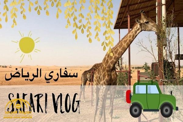 "موسم الرياض" يعلن عن افتتاح فعالية "سفاري" .. والكشف عن سعر تذكرة التجول لمشاهدة الحيوانات النادرة والمفترسة