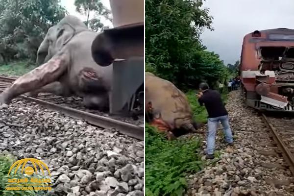 شاهد : حادث غريب بين قطار وفيل في الهند .. وهكذا انتهى