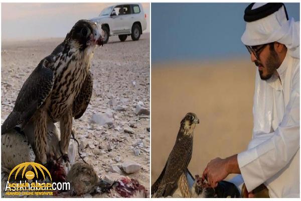 شاهد: شقيق أمير قطر يزور جزيرة أبوموسى الإماراتية التي تحتلها إيران