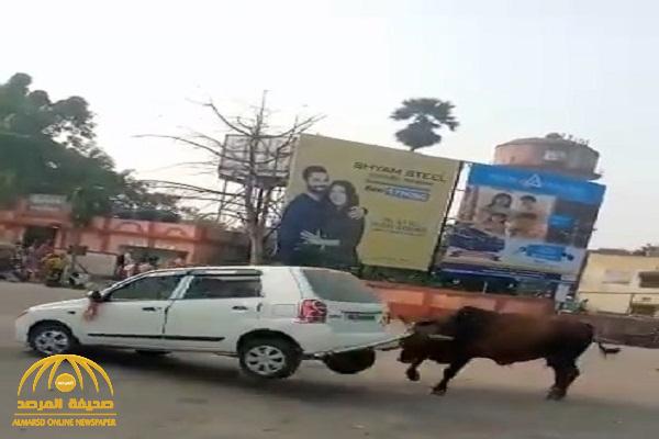 شاهد: ثور "هائج" يرفع "سيارة" بقرنيه في الهند
