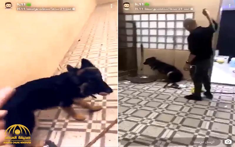 شاهد .. فيديو صادم لشخص يعنف كلباً بعد تخريب استراحته