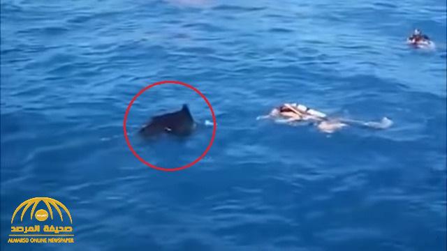 شاهد .. فيديو صادم لحظة هجوم سمكة "أبو سيف" على سائح في تايلاند