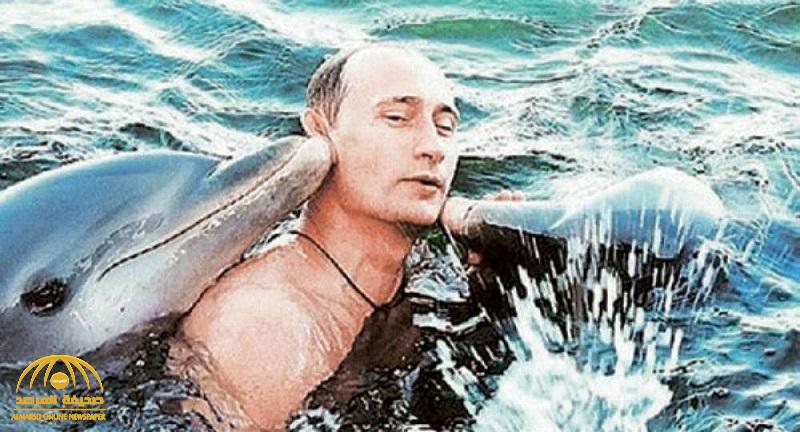 شاهد .. فيديو يعرض لأول مرة للرئيس الروسي "بوتين" وهو يسبح مع الدلافين
