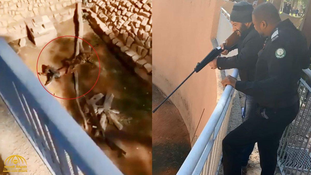 بالفيديو: الوافد السوداني الذي نجا من أنياب النمر في حديقة الملز بالرياض يكشف تفاصيل اللحظات الأكثر رعبًا في حياته