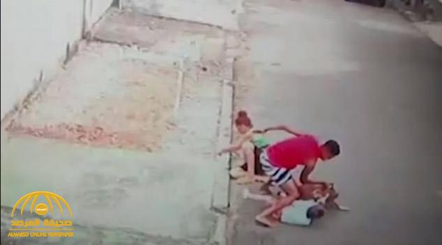 بالفيديو .. شاهد ردة فعل أب لحظة هجوم كلب  "مفترس" على طفله وغرس أنيابه في جسده