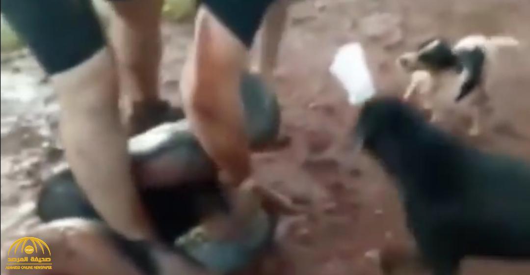بالفيديو .. 3 أشخاص يدخلون في معركة مع ثعبان "أناكوندا" لإنقاذ كلبهم
