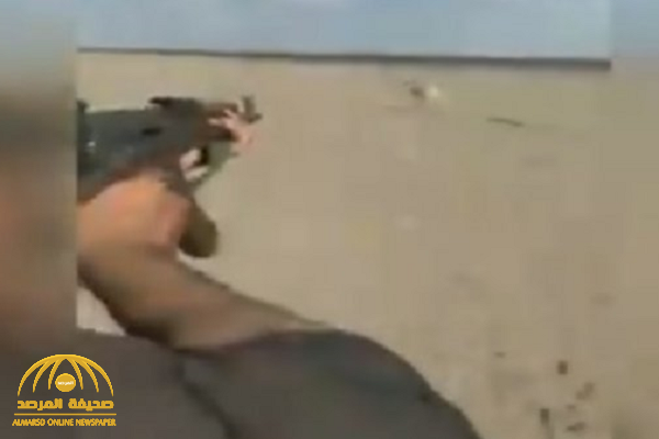فيديو.. أول إجراء من الحياة الفطرية بشأن مطاردة شخص مجموعة ظباء وصيدها بسلاح رشاش