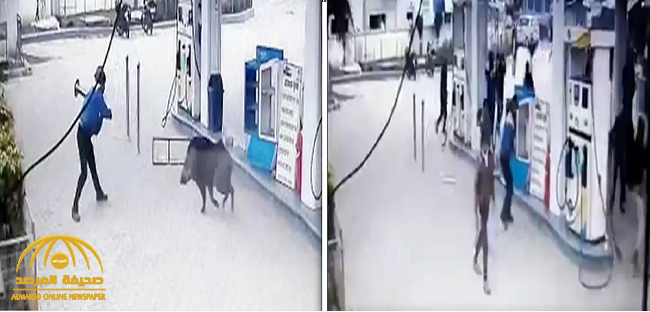‏شاهد: خنزير بري مسعور يهاجم عمال محطة وقود بشكل مرعب !