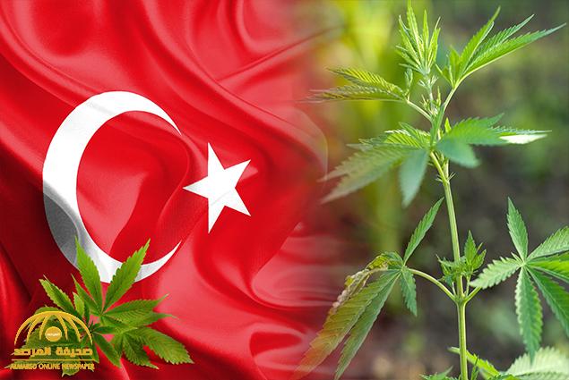 بعد تشجيع إنتاج القنب.. تركيا تعلن "رسميا" سعيها لتحقيق الاكتفاء الذاتي من الحشيش !