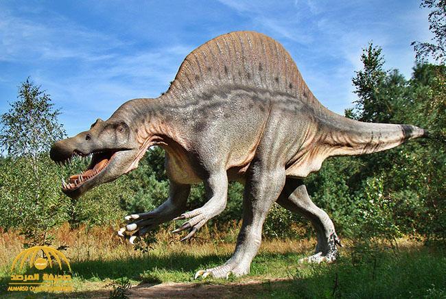 بعد مرور ملايين السنين.. العلماء يكشفون السبب الحقيقي لمقتل جميع الديناصورات على وجه الأرض