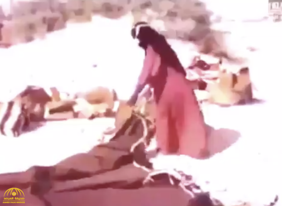 شاهد: فيديو نادر لامرأة "بدوية" تشيد "بيت الشعر" وسط الصحراء
