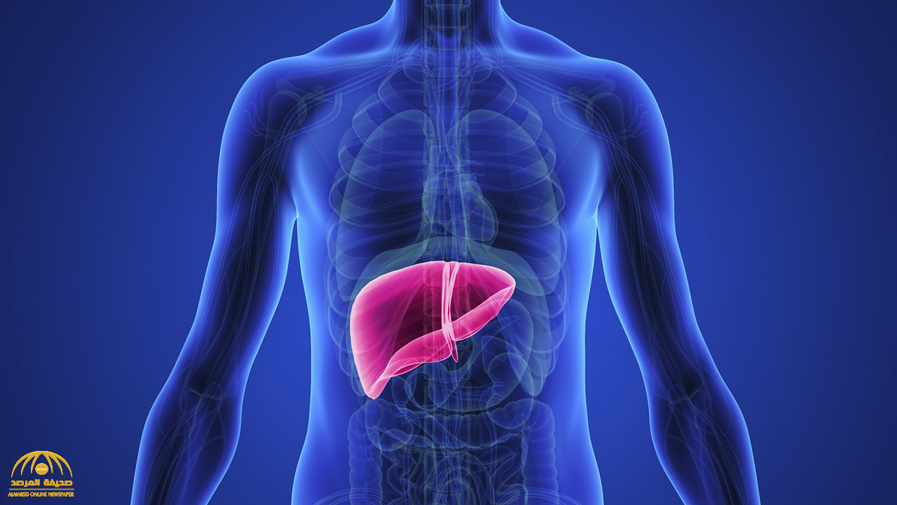 الكشف عن الأعراض الأولى لسرطان الكبد .. إذا ظهرت راجع طبيبك فوراً