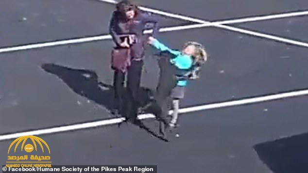 شاهد: كلب ينقض على طفلة ويحاول خطفها من يد والدتها وسط ساحة لمواقف السيارات!