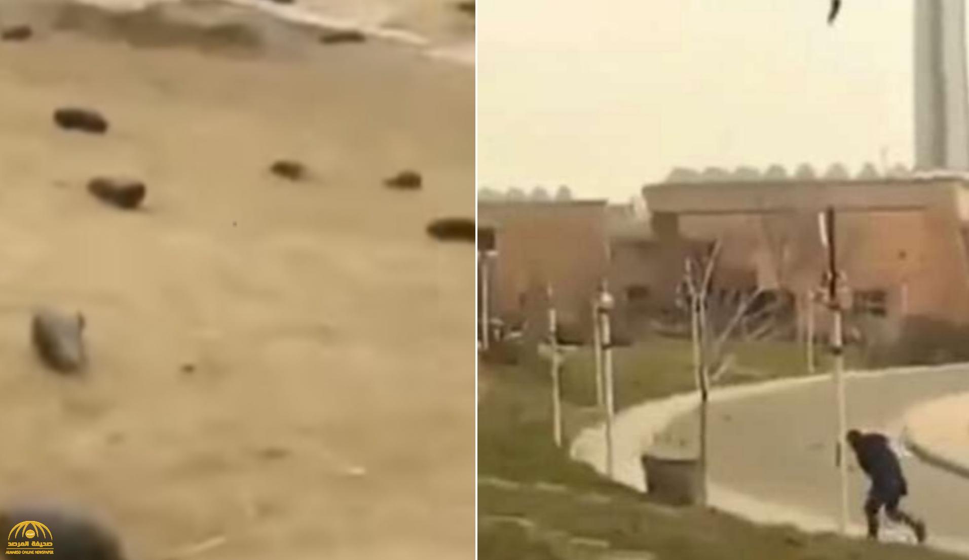 منتجو فيديو تساقط الباذنجان من السماء الذي أثار ضجة في إيران يكشفون الهدف من نشره !