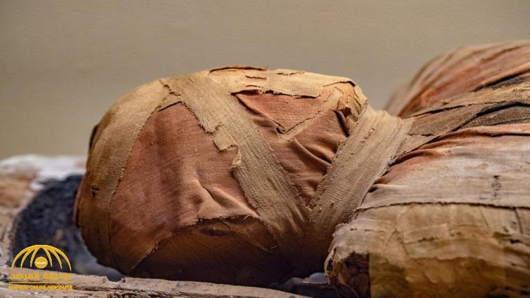 اكتشاف مفاجئ  داخل نعش مومياء مصرية عمرها 3 آلاف عام!