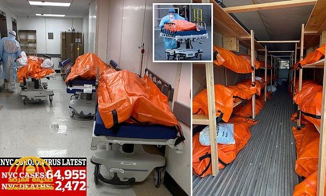 “شاهد” صور لجثث موتى كورونا مكدسة في أكياس داخل مستشفيات نيويورك تنتظر نقلها لشاحنات التبريد