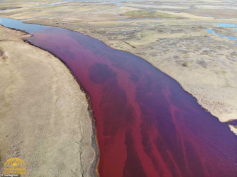 شاهد: "لقطات كارثية".. روسيا تلوث أنهار القطب الشمالي بـ 20 ألف طن من الوقود ولون المياه يتحول للأحمر