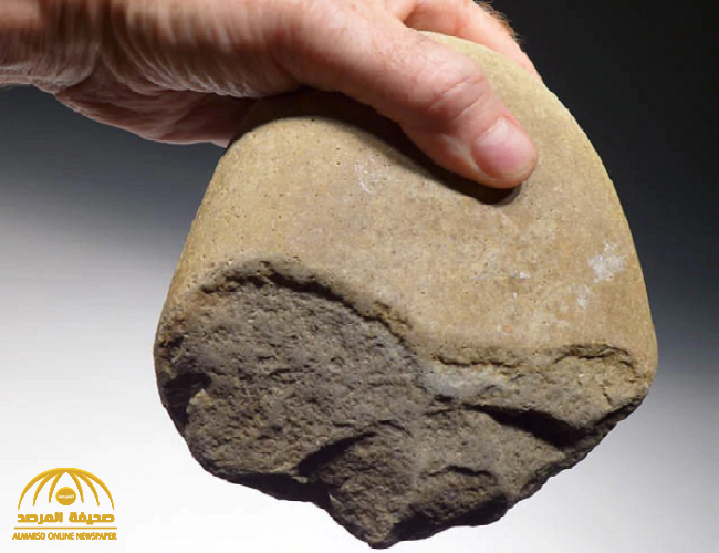 الإنسان موجود قبل 2 مليون سنة  في مصر  وكشف الصناعة التي امتهنها – صور