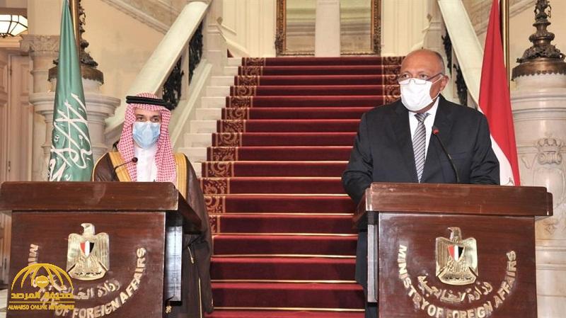 وزير إماراتي يكشف الهدف من تكثيف التعاون السعودي المصري في هذا الوقت تحديداً !