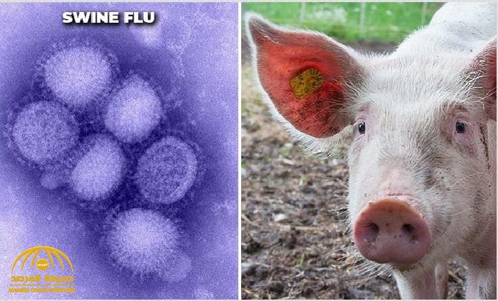 "الصحة العالمية" تكشف تطورات الفيروس "الخنزيري" الجديد الذي ظهر في الصين.. وهكذا نشأت السلالة