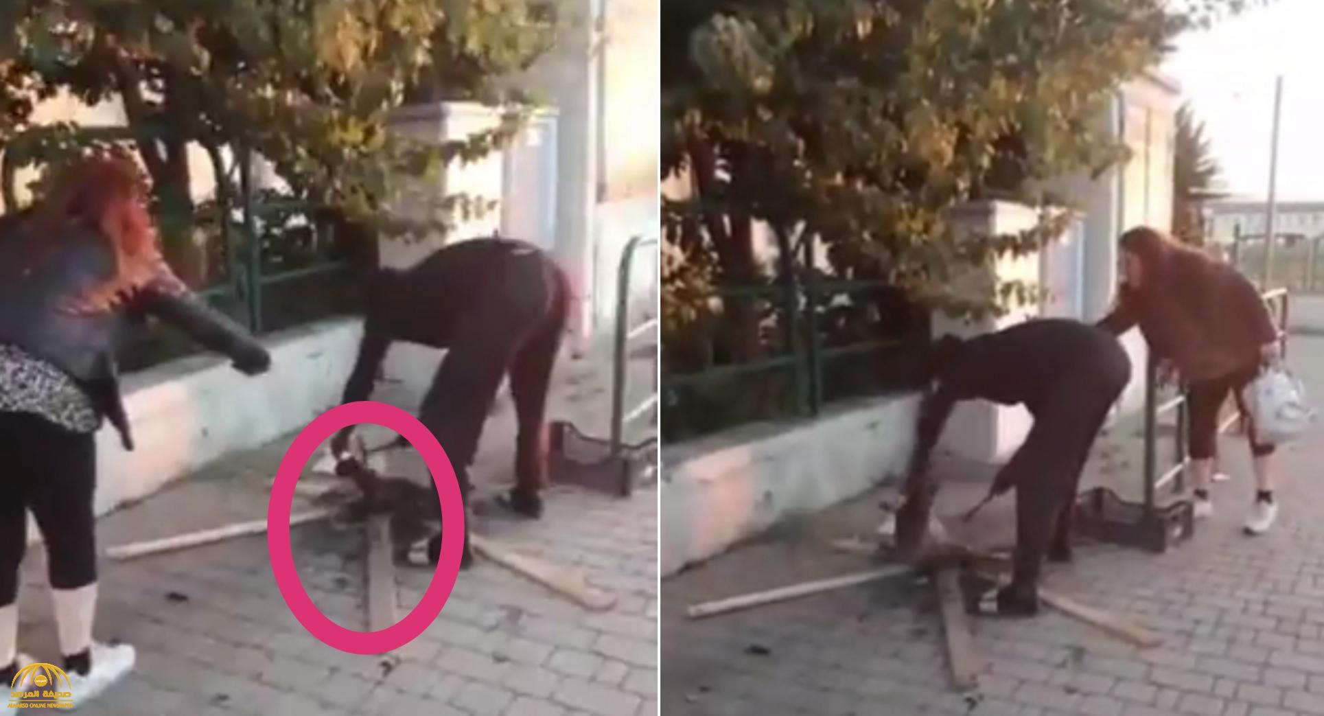 فيديو صادم.. شاهد: رجل يشوي قطة في الشارع أمام أعين المارة لتناولها كوجبة!