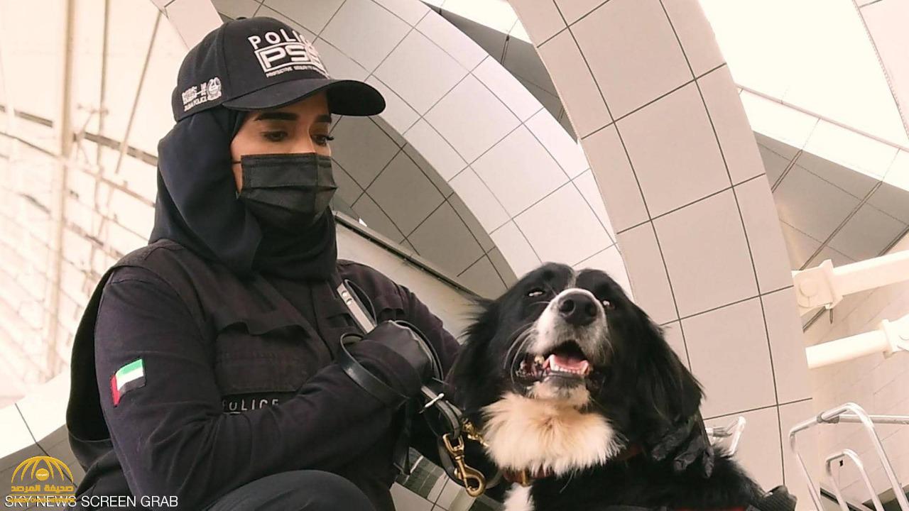 باستخدام "الكلاب البوليسية".. الإمارات تبتكر طريقة جديدة للكشف عن المصابين بكورونا وتكشف عن نسبة نجاحها