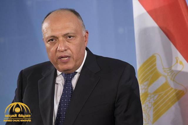 أول تعليق من وزير الخارجية المصري على تصريحات أنقرة بشأن وجود تقارب بين تركيا ومصر