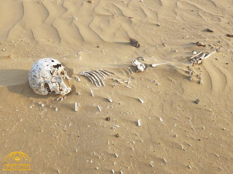 تفاصيل جديدة بشأن العثور على "رفات موتى" متناثرة شمالي القنفذة.. والكشف عن سبب ظهورها!