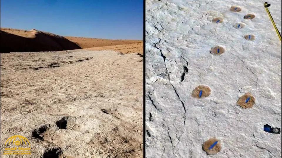 لأول مرة ..بالصور: اكتشاف آثار أقدام لبشر وحيوانات مفترسة في السعودية قبل 120 ألف سنة