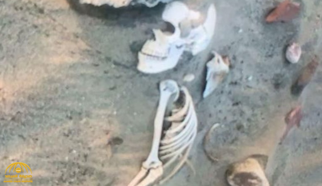 ظهور "عظام وجماجم بشرية" فوق الأرض شمالي الليث.. والكشف عن السبب!