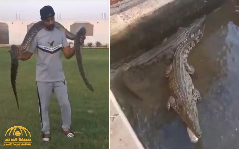 بالفيديو.. شاب سعودي يروي قصته في تربية "التماسيح والثعابين".. ويكشف عن مفاجأة بشأن العدد الذي يمتلكه
