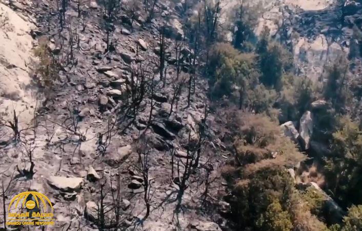 شاهد.. آثار حريق تنومة الذي التهم أشجار العرعر الشهيرة على جبل غلامة